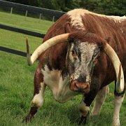 Dont Mess With Me.JPG